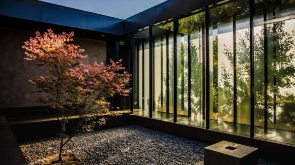 Зимние сады