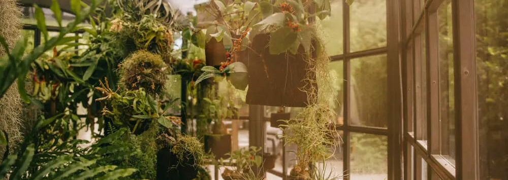 Зимний сад остекление