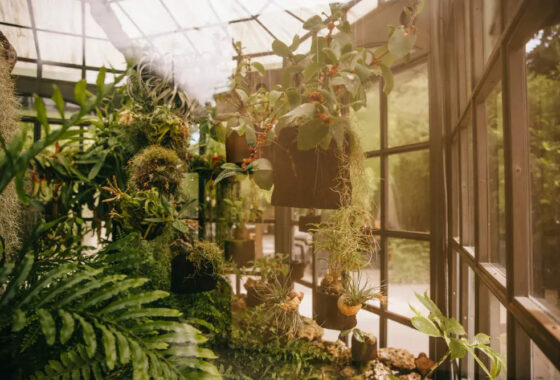 Зимний сад остекление