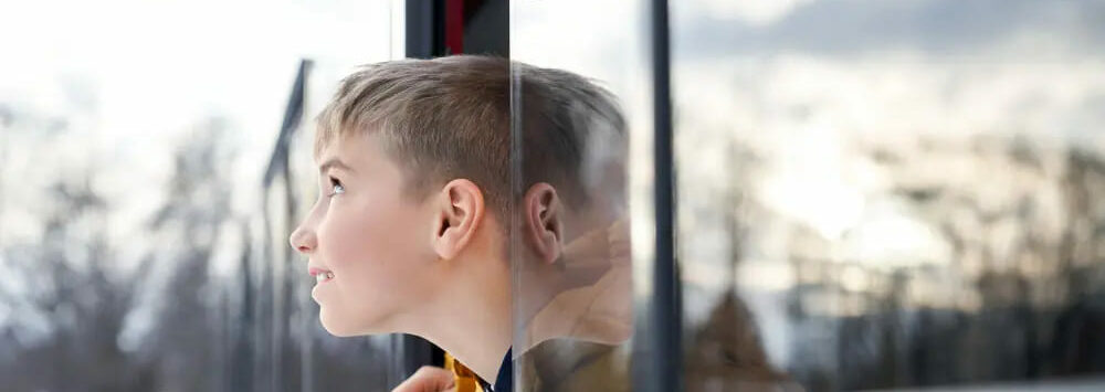 Раздвижные алюминиевые окна