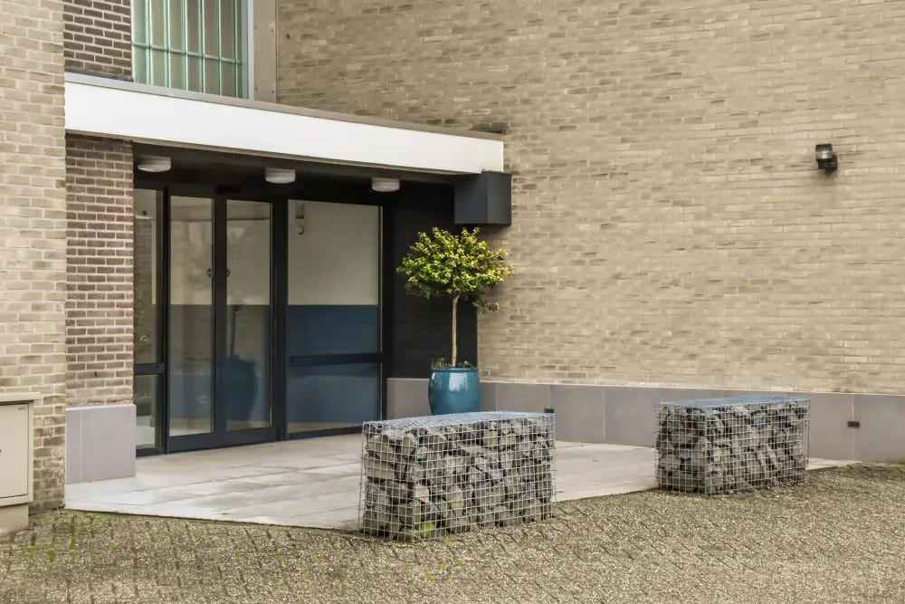 Сад и ландшафтный дизайн